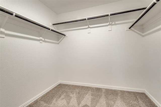 Building Photo - 3508 Cricket Dr