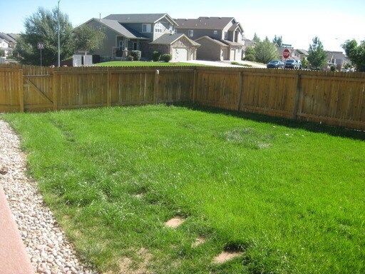 Building Photo - Beautiful 5 Bedroom Home for Rent on Creek...
