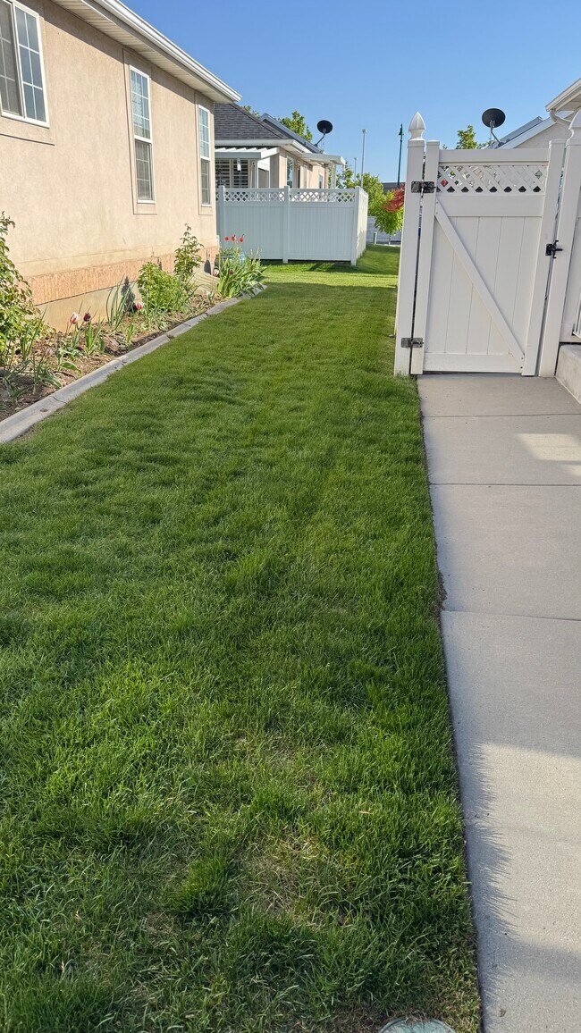 Side Yard - 565 W 40 N