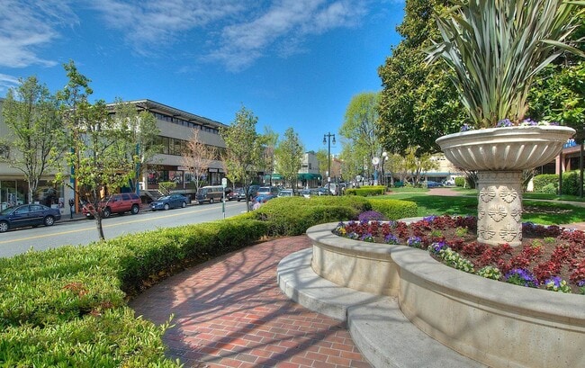 Dowtown - 175 Woodland Ave