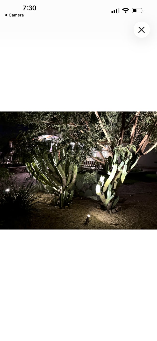 Building Photo - 19238 E Starflower Dr