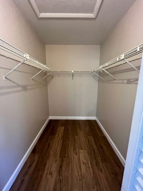 Primary Bedroom Closet - 6499 Chasewood Dr