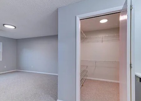 Building Photo - 504 Greenwich Dr