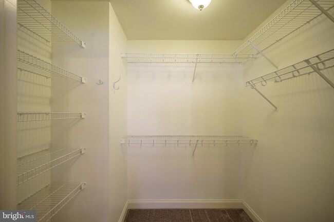 Building Photo - 2616 Greenport Dr