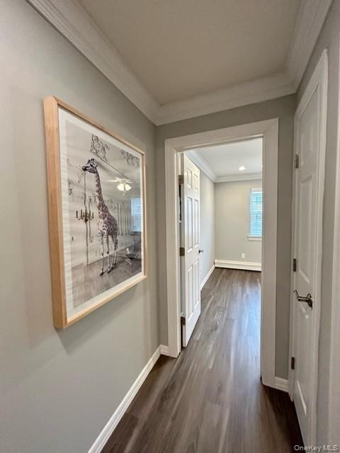 Building Photo - 101 Cassa Loop
