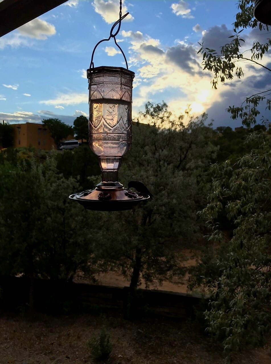 Balcony, Nature Trail, Wildlife - 941 Calle Mejia