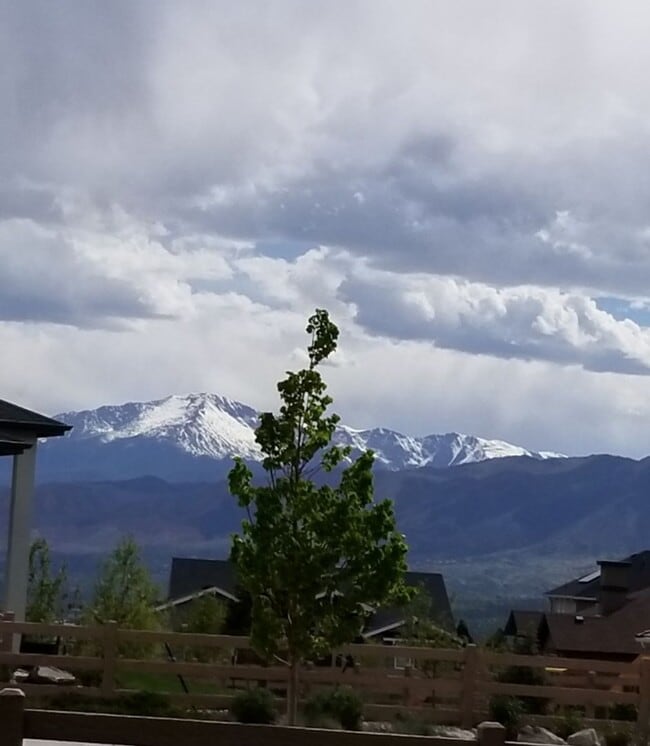 Building Photo - Stunning Flying Horse Patio Home with Stunning Views!!