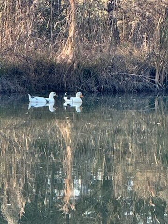 Building Photo - 4391 GA-225