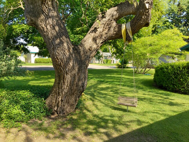 Building Photo - Great Home in South Austin - 78745 that backs to greenbelt
