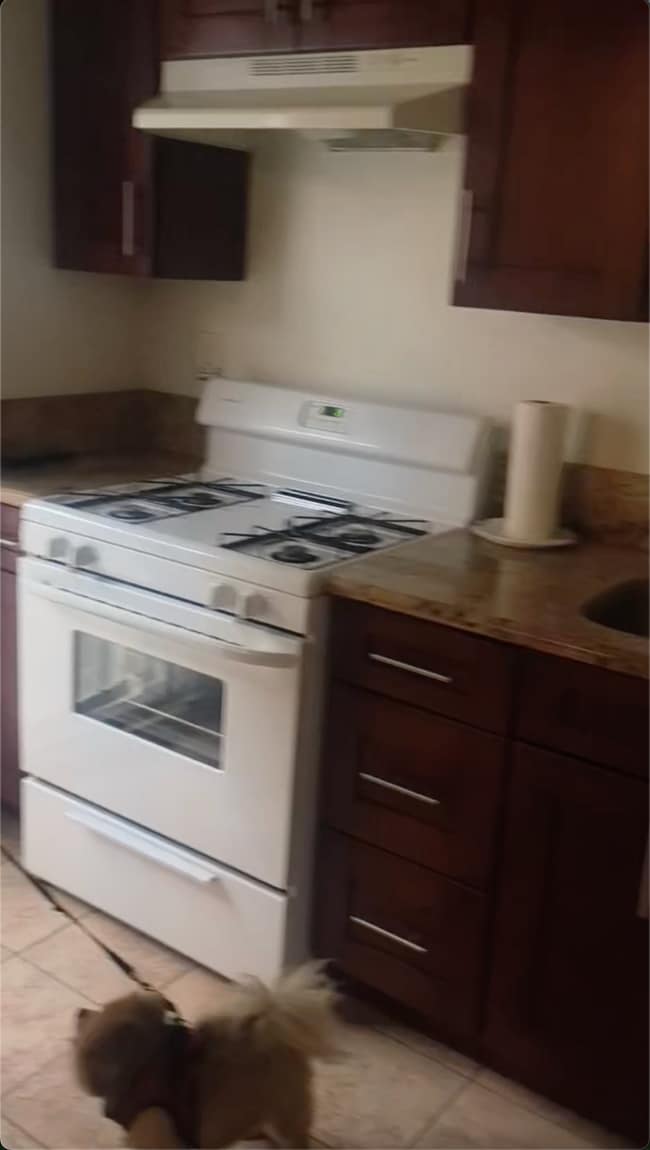 Kitchen 1 - 13137 Hartland St