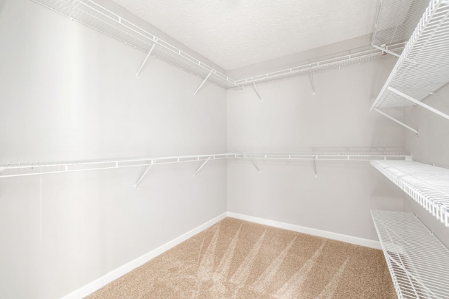 Building Photo - 1148 Challis Springs Dr