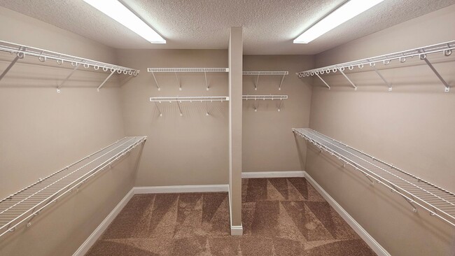 Building Photo - 4 BR 3.5 BA in Swansboro!