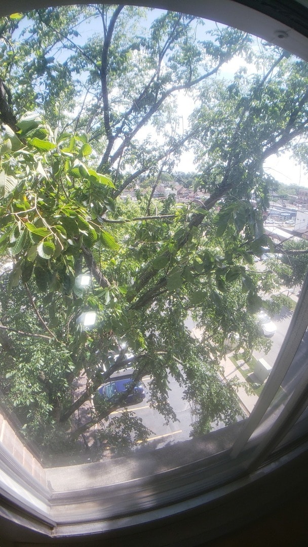 Building Photo - 336 Lathrop Ave