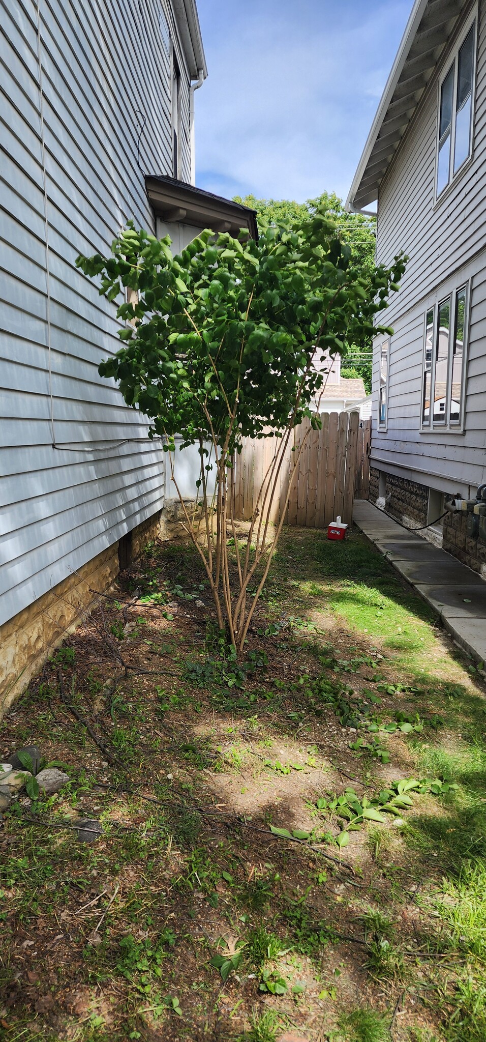 Side yard in front - 2434 N 4th St