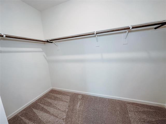 Building Photo - 1637 Whitworth Dr