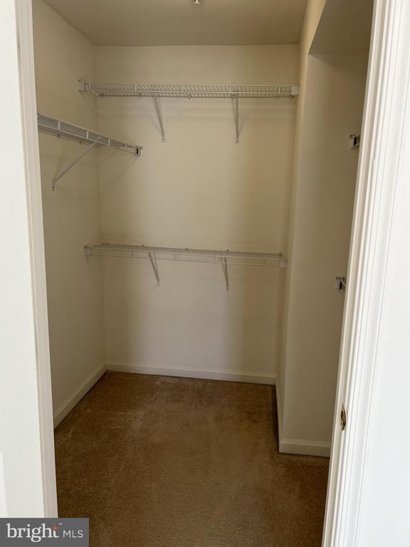 Building Photo - 3507 Ellery Cir