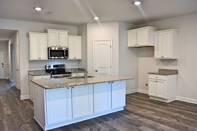 Building Photo - Brand New- 4 Bedroom 2 Bath in Santa Rosa ...