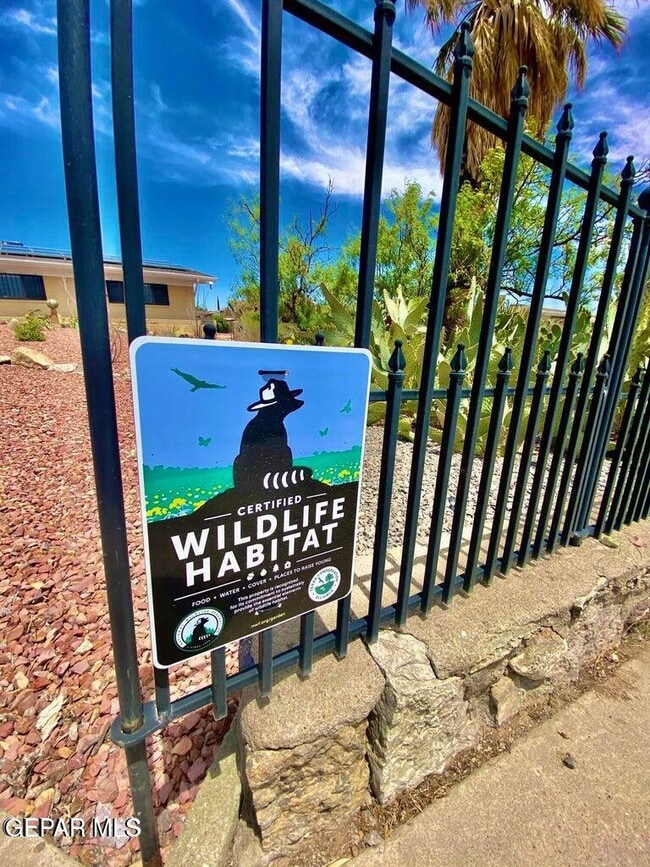 Building Photo - 3213 El Morro Rd