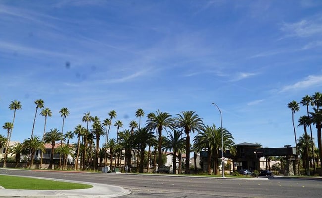 Building Photo - 8809 Las Olivas Ave