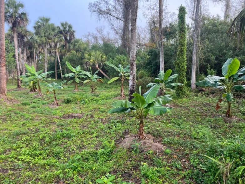 Building Photo - 4320 30th Ave SE