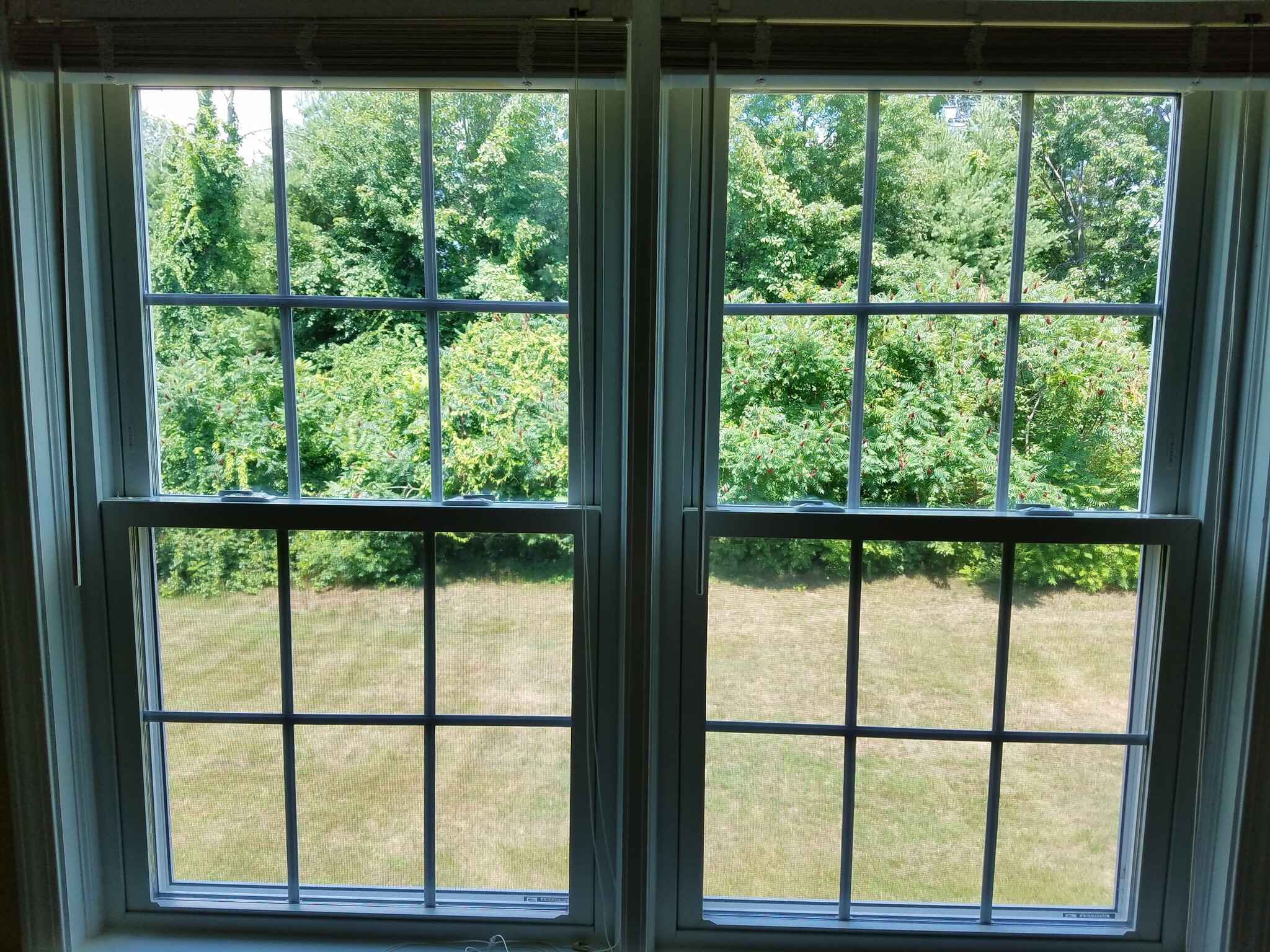 Private wooded view - 1901 Bodwell Rd