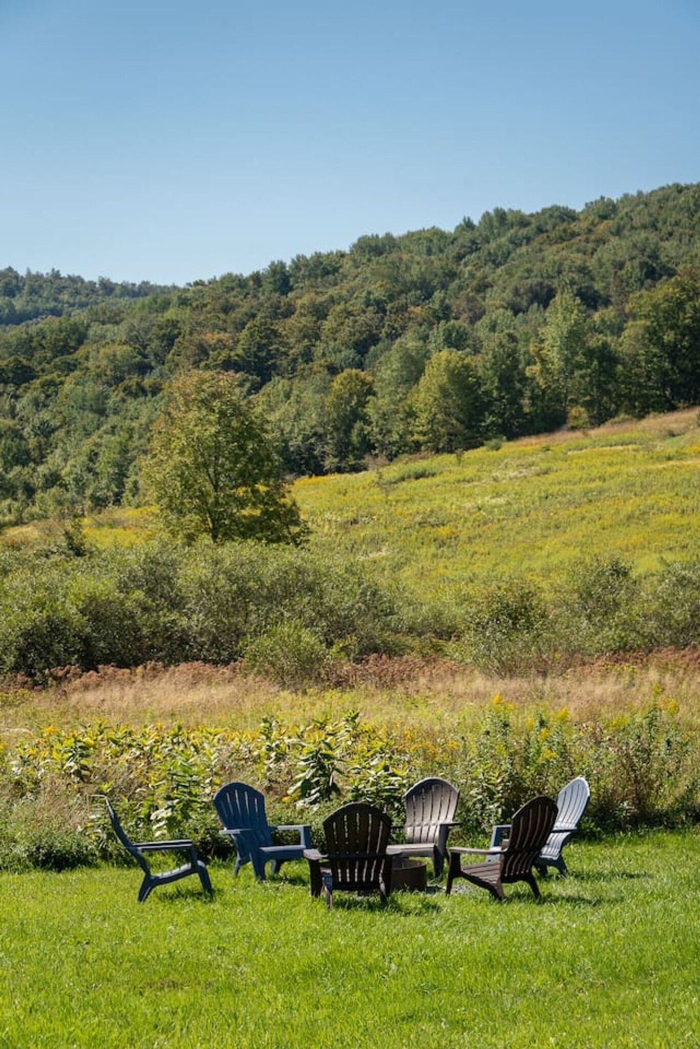 Building Photo - 2697 Chambers Hollow Rd