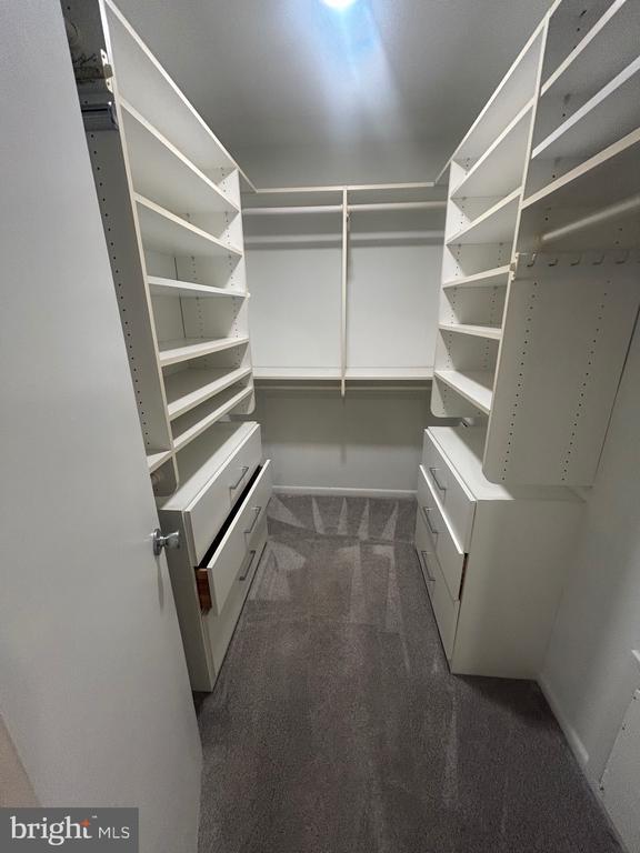 Building Photo - 9574 Standon Pl