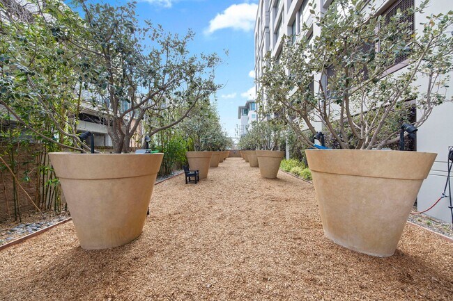 Building Photo - 2 Bed/2 Bath Luxury Condo at The Bond