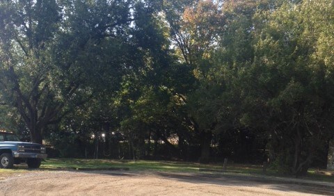 Park area west end, Walmart just behind park - Trailer Village MHC