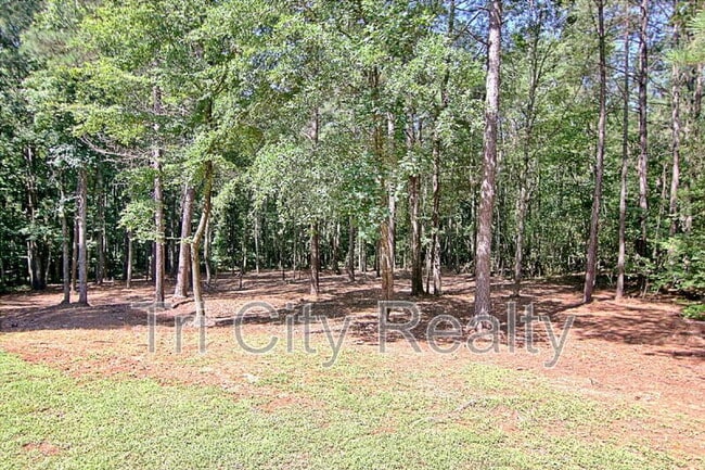 Building Photo - 69 Meadows Creek Ln