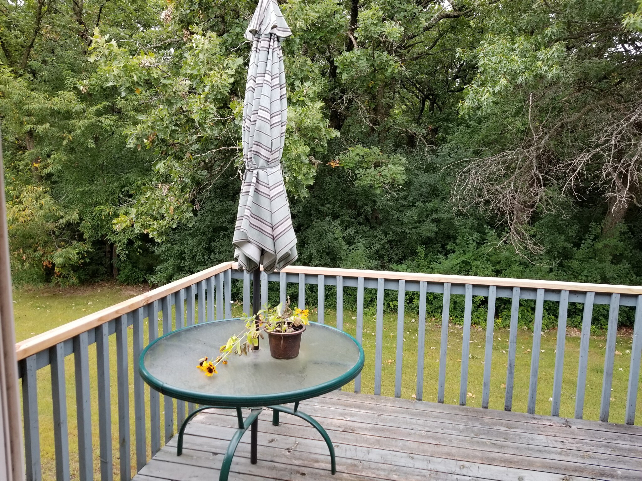 Building Photo - 220 Leighton Dr