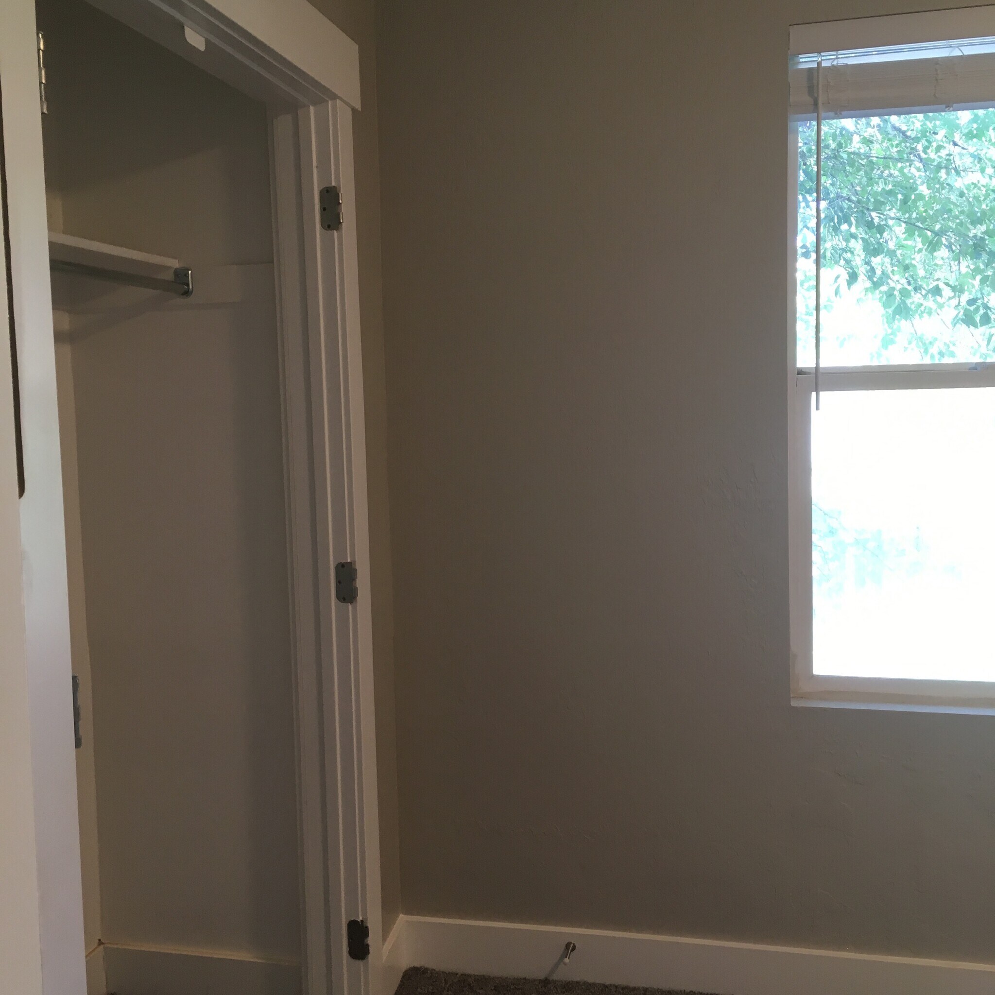 Bedroom #1 - 301 N. Almond Street #5