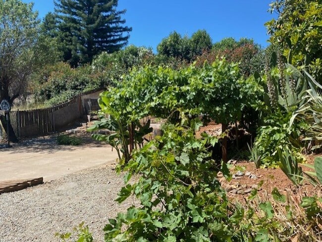 Building Photo - Shasta Lake Home w/ large yard!