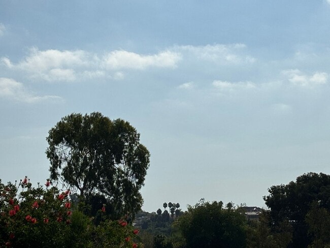 Building Photo - GORGEOUS OPEN VIEW HILLTOP OASIS HOME - COOL OCEAN BREEZE