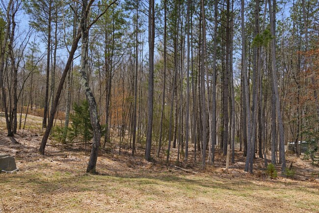 Building Photo - Beautiful 3BR 2.5BA Home in Statesville • 2 Car Garagge Tours