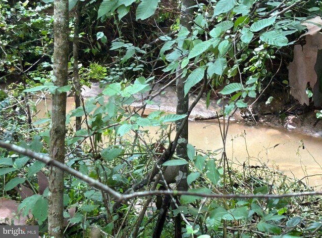 Building Photo - 307 Larkspur Rd