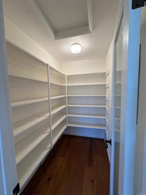 Building Photo - 2454 Torrejon Pl