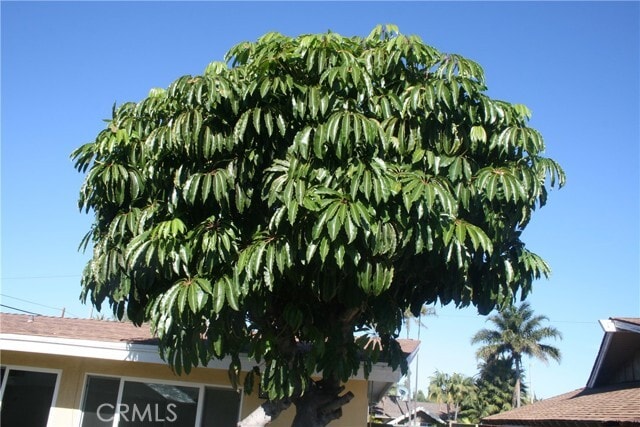 Building Photo - 1152 W Wakefield Ave