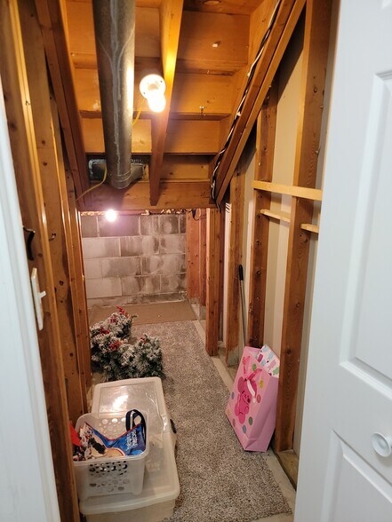 Lower Level - storage - 4557 Scott Trl