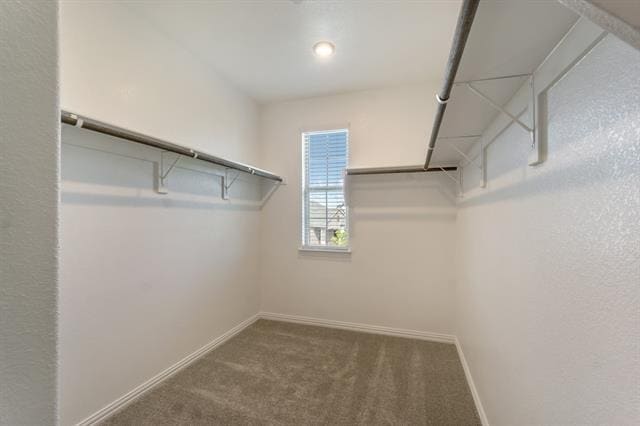 Building Photo - 7528 Redondo Dr