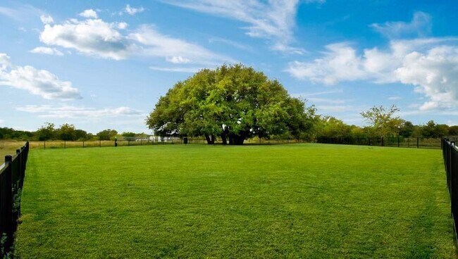 Building Photo - 149 Proclamation Ave