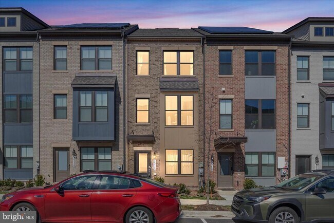 Building Photo - 3538 Stella Blue Dr