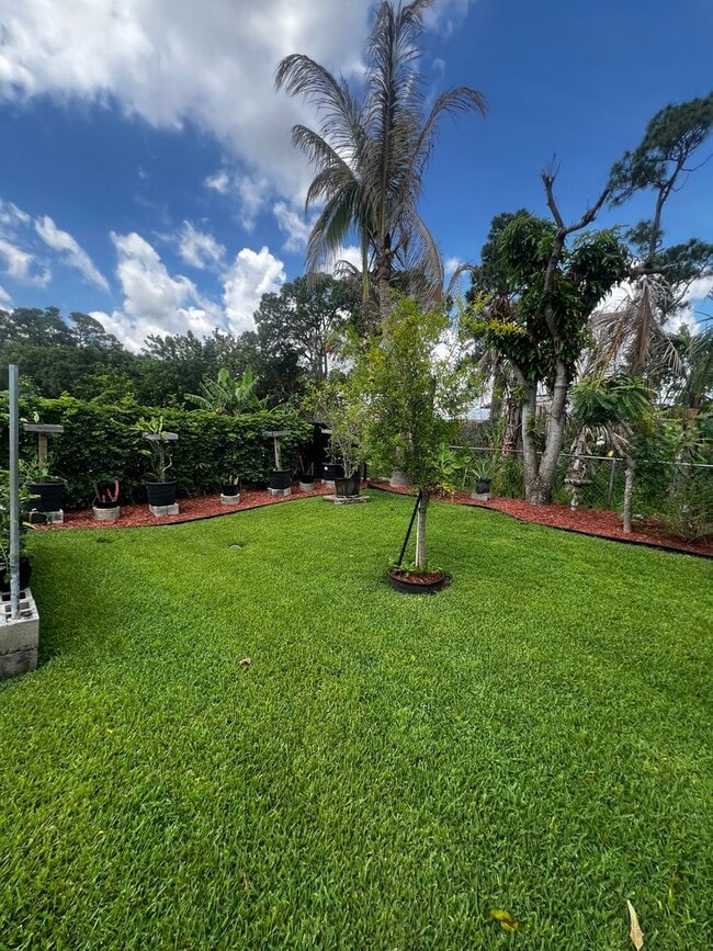 Building Photo - 3 BEDROOM 2 BATH CONVENIENTLY LOCATED WITH A TROPICAL OASIS IN THE BACK YARD!