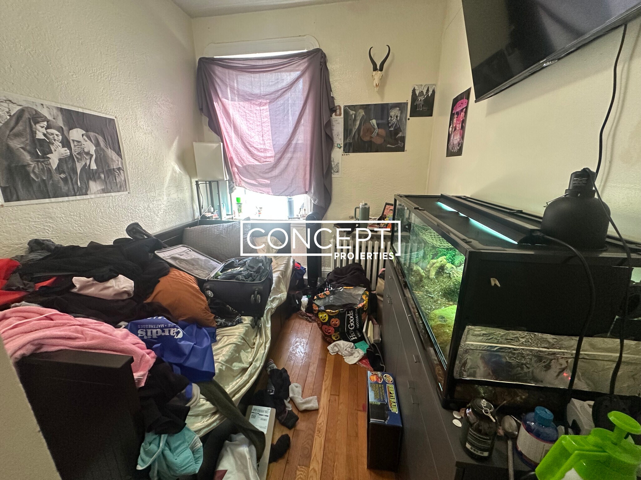 Building Photo - 72 Revere St