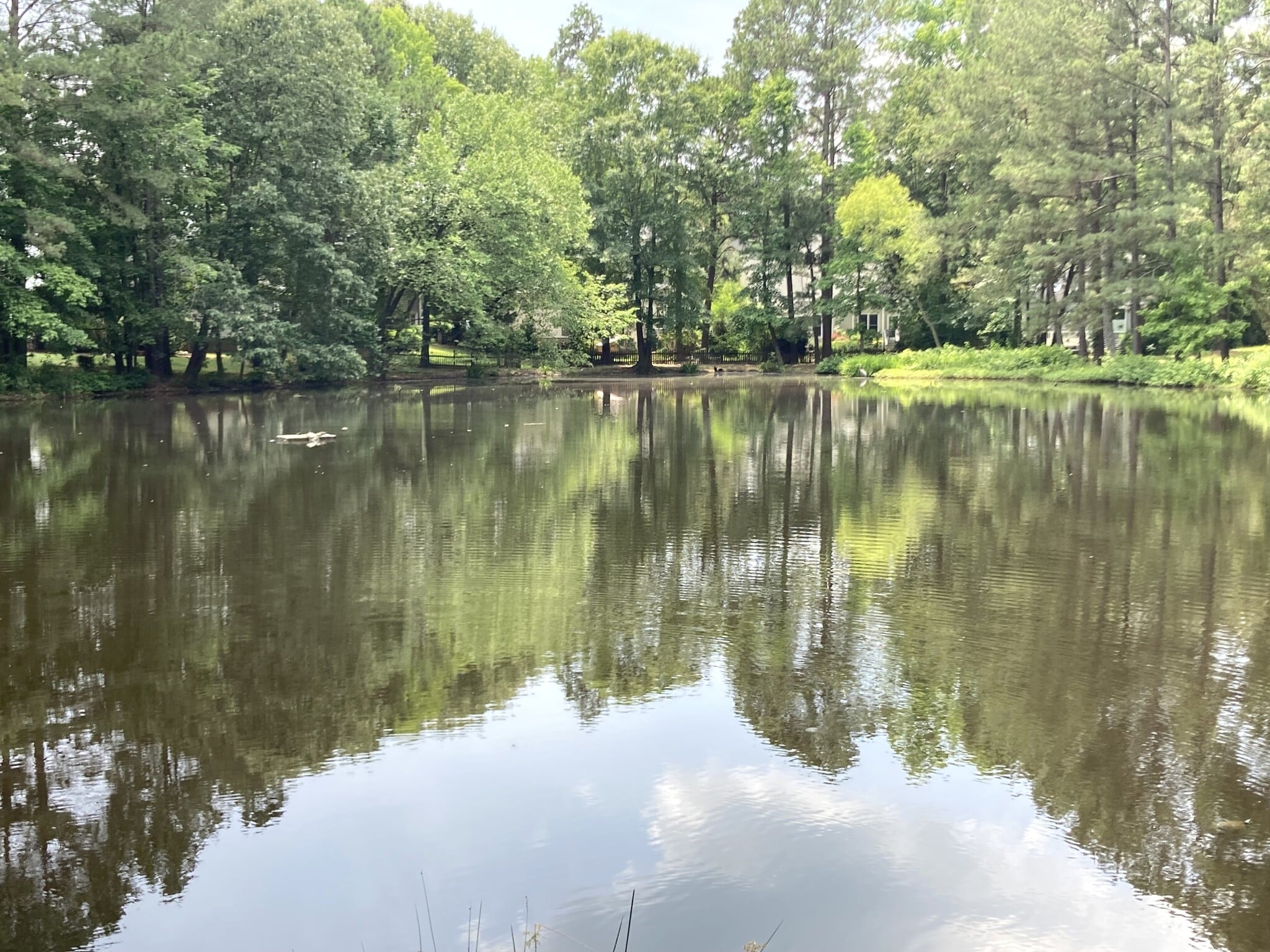 The charming Downing Creek Community features tranquil ponds and walking trails. - 1243 Cranebridge Pl