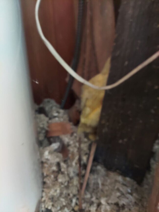 Building Photo - Charming Tacoma Home on a Peaceful Corner Lot!