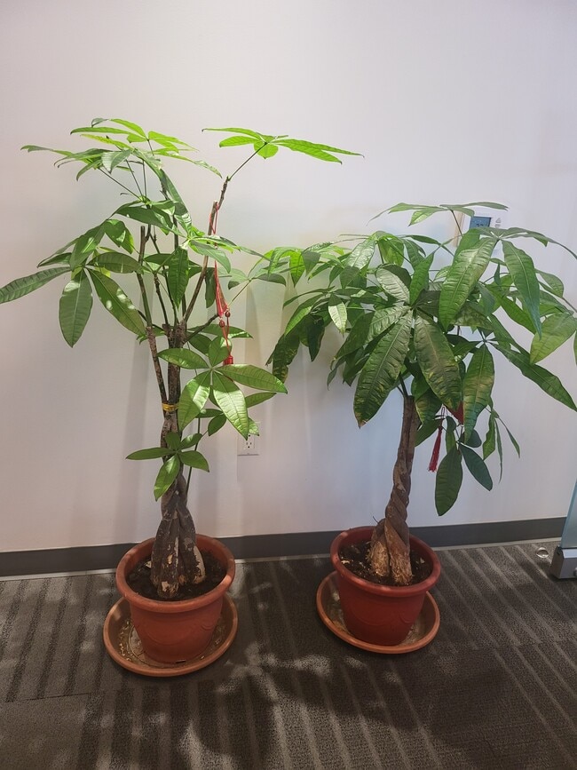 Primary Photo - 335 N Mariposa Ave