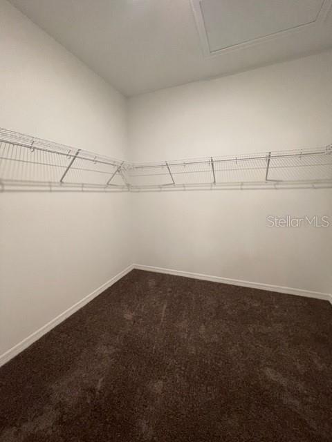 Building Photo - 6548 Great Bear Dr