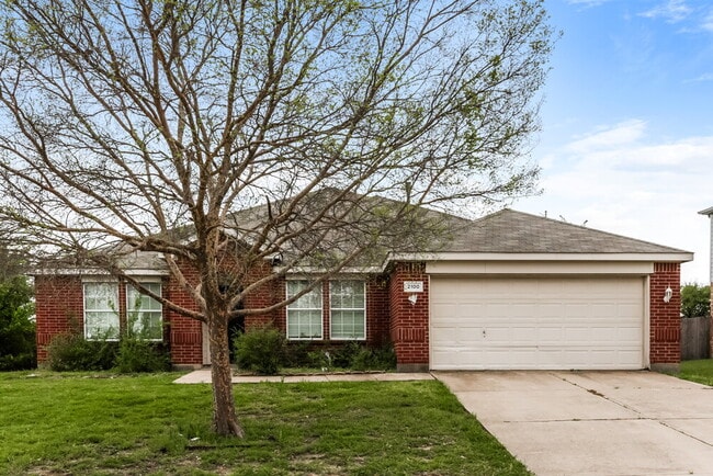 Building Photo - 2100 Aster Trail