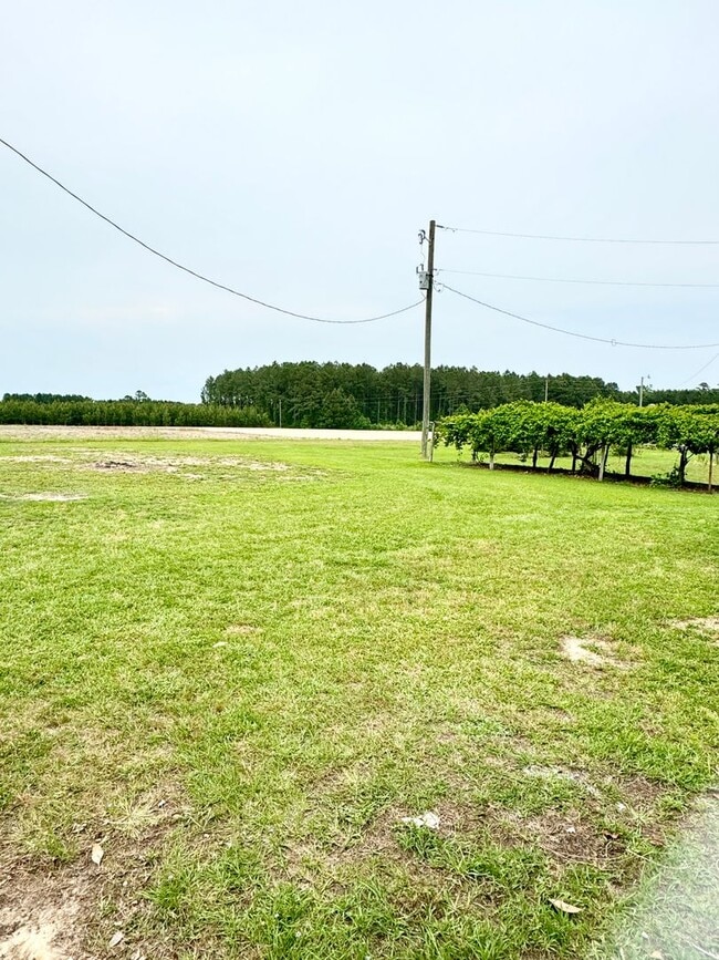 Building Photo - Move in ready! Fully Renovated with attention to detail! Aynor school district!